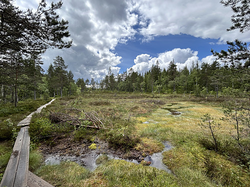 Klopper opp mot Heitåsen som ses til høyre i bildet