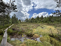 ØyvindBergkvam_20241008_67056c48304a0.jpg