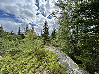 ØyvindBergkvam_20241008_67056c4b3a2d9.jpg