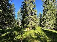 ØyvindBergkvam_20241008_670572f1b472d.jpg