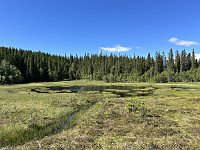 ØyvindBergkvam_20241008_670572f3a2a1f.jpg