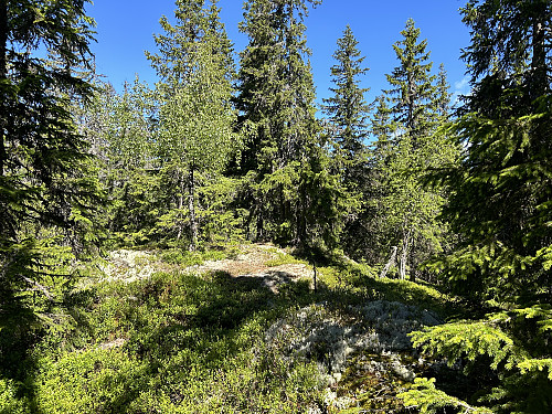 Prekestolen i Jevnaker kan ikke måle seg med sin navnebror på sørvestlandet!
