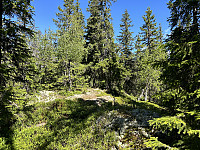 ØyvindBergkvam_20241008_670572f5b2c49.jpg