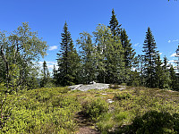 ØyvindBergkvam_20241008_670573016f276.jpg