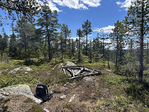 Langvassbrenna i Jevnaker