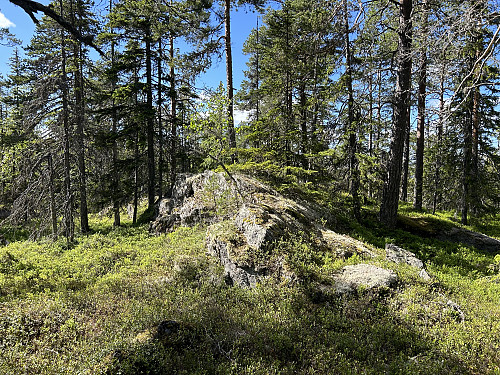 Samsjøberga i Jevnaker