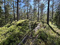 ØyvindBergkvam_20241008_67057737c463a.jpg