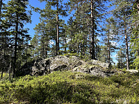 ØyvindBergkvam_20241008_6705773ab6b8b.jpg