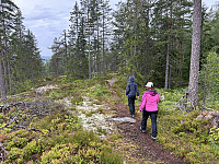 ØyvindBergkvam_20241008_67057acfea23a.jpg