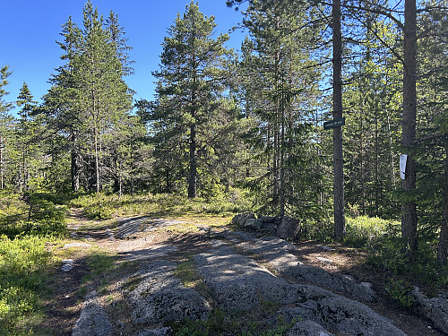 Kraftkollen i Lier