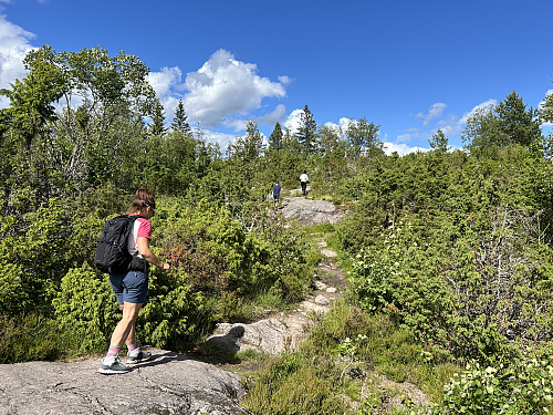 Like oppunder toppen av Bergsåsen