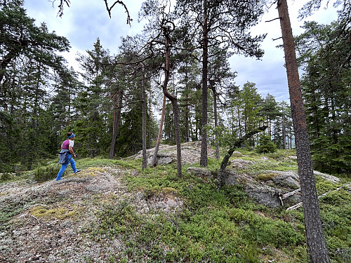 Cecilie i godt driv opp mot Kolåshøgda