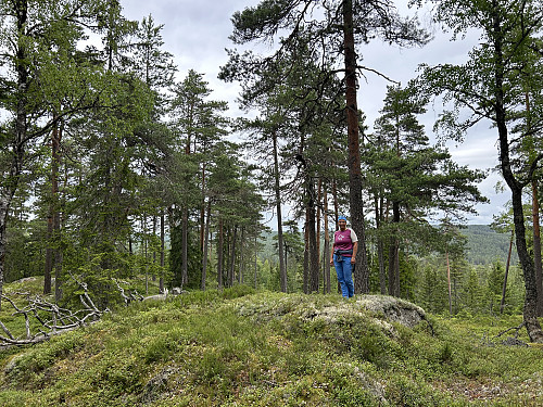 Kolåshøgda i Lillestrøm
