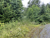 ØyvindBergkvam_20241009_67063998272eb.jpg