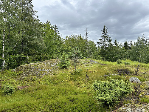 Flisefyr i Sandefjord