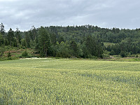 ØyvindBergkvam_20241009_6706404eda245.jpg