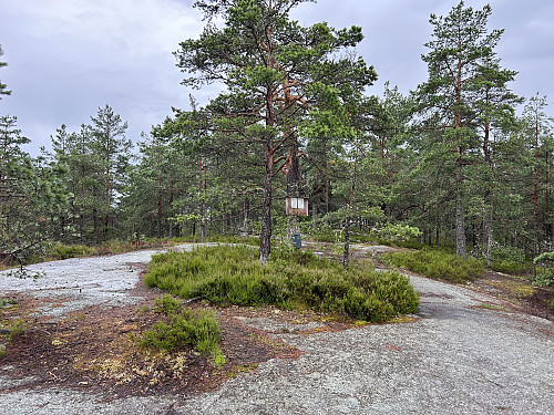 Storås i Sandefjord