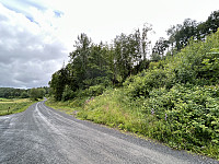 ØyvindBergkvam_20241012_670a4673030a2.jpg