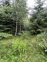 ØyvindBergkvam_20241012_670a4676c3e5a.jpg