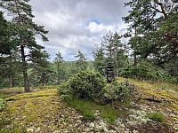 ØyvindBergkvam_20241012_670a46821f15a.jpg
