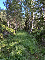 ØyvindBergkvam_20241012_670a4a92940b5.jpg