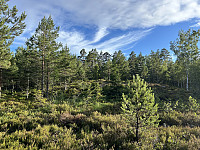ØyvindBergkvam_20241012_670a4a96f2223.jpg