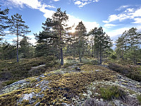 ØyvindBergkvam_20241012_670a4a9a22a41.jpg