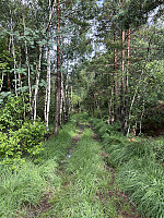 ØyvindBergkvam_20241012_670a4f61840c4.jpg