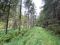 ØyvindBergkvam_20241012_670a4f69804a3.jpg