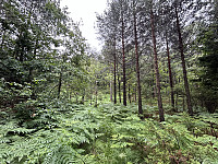 ØyvindBergkvam_20241012_670a4f70a7a4f.jpg