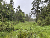 ØyvindBergkvam_20241012_670a4f789a9ad.jpg
