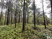 ØyvindBergkvam_20241012_670a4f815e943.jpg
