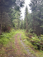 ØyvindBergkvam_20241012_670a56f10fd08.jpg
