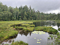 ØyvindBergkvam_20241012_670a56fea7ae3.jpg