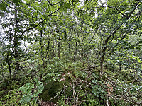 ØyvindBergkvam_20241012_670a570690965.jpg