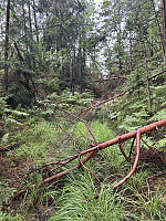 ØyvindBergkvam_20241012_670a6123bdbde.jpg
