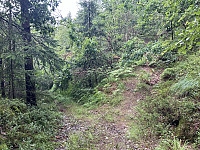 ØyvindBergkvam_20241012_670a612c8a0f8.jpg