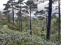 ØyvindBergkvam_20241012_670a6134188c3.jpg