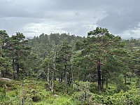 ØyvindBergkvam_20241012_670a613e6f9b2.jpg