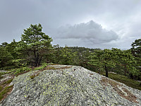 ØyvindBergkvam_20241012_670a61433d784.jpg