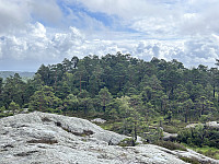 ØyvindBergkvam_20241012_670a614cef411.jpg