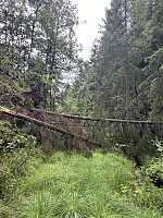 ØyvindBergkvam_20241012_670a6154b494f.jpg