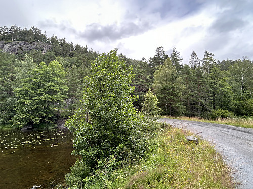 Like ved parkeringen innerst i bukta på Vestre Grimevatnet