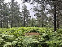 ØyvindBergkvam_20241013_670b96a8852b4.jpg