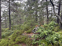 ØyvindBergkvam_20241013_670b96accb45a.jpg