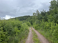 ØyvindBergkvam_20241013_670b9f312537c.jpg