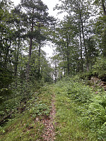 ØyvindBergkvam_20241013_670b9f34681b2.jpg