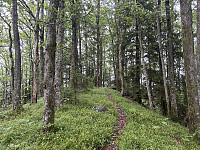 ØyvindBergkvam_20241013_670b9f3b7d57c.jpg