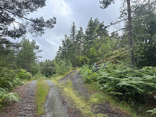 Veikrysset øst for toppen, her tok jeg til høyre