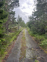 ØyvindBergkvam_20241013_670ba1ca95cbd.jpg